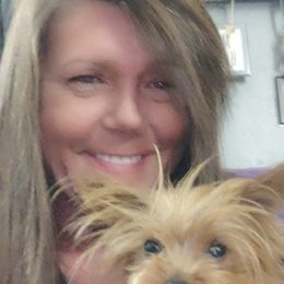 Yorkshire Terriers from York County Yorkies