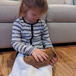 Cavapoo Puppies from Carolina Springs Breeding