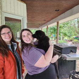 German Shepherd Puppies from Von Hoene Heritage Shepherds
