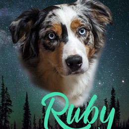 Ruby - Australian Shepherd