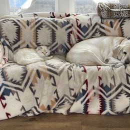 Labrador Retriever All Grown Up from Bella Frieda Farm Labrador Retrievers
