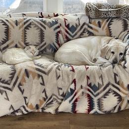 Labrador Retriever All Grown Up from Bella Frieda Farm Labrador Retrievers