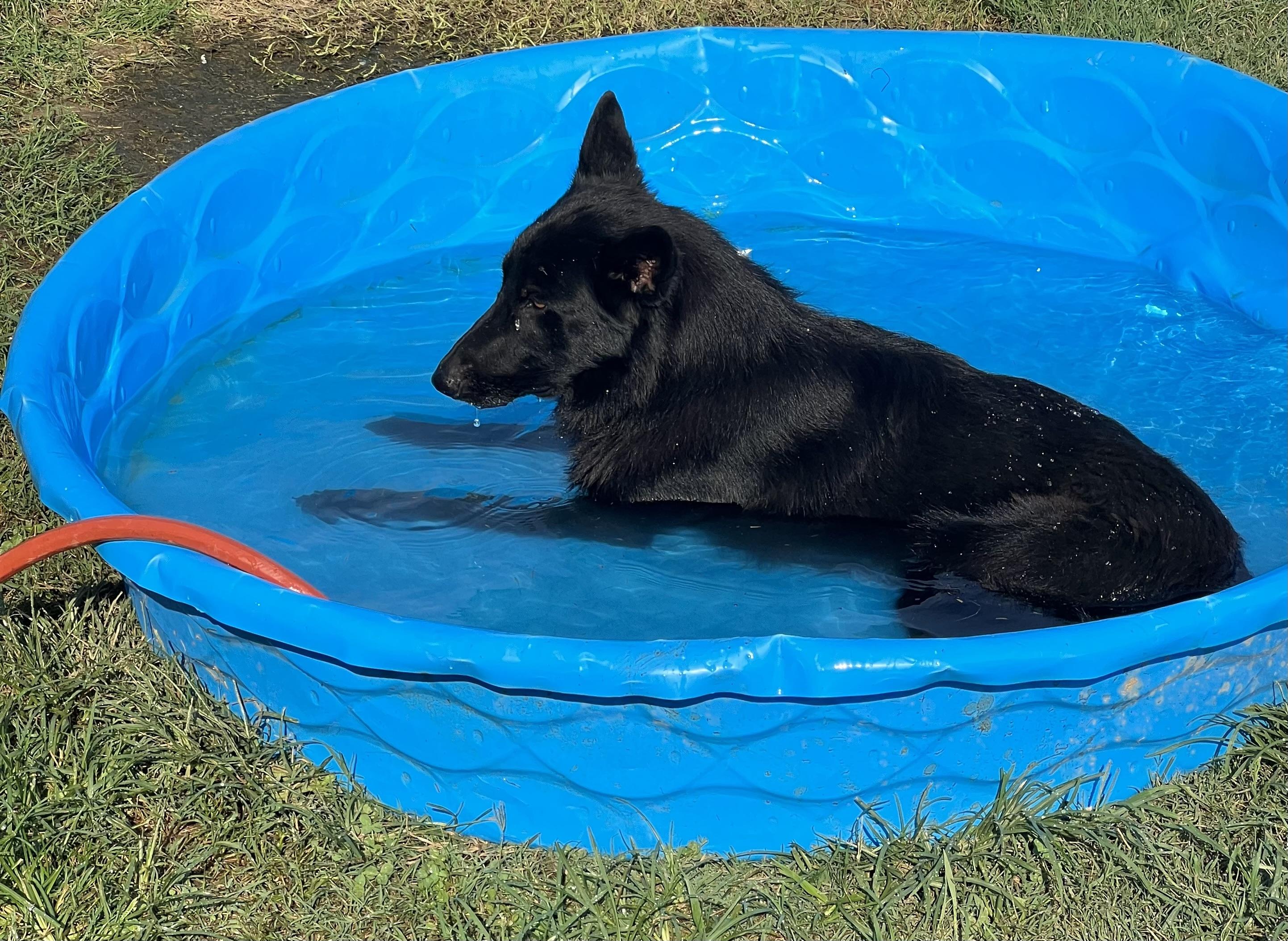 Zeus