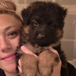 Eclipse Noir Reserve Elite Von Haus (Green Collar) - Black and red male German Shepherd puppy in Grants Pass, Oregon from Elite Von Haus German Shepherds
