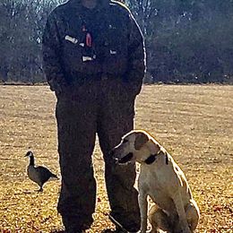 Georgia  - Labrador Retriever