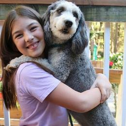 Masha - Bernedoodle