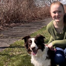 Australian Shepherds from Aussie Odyssey