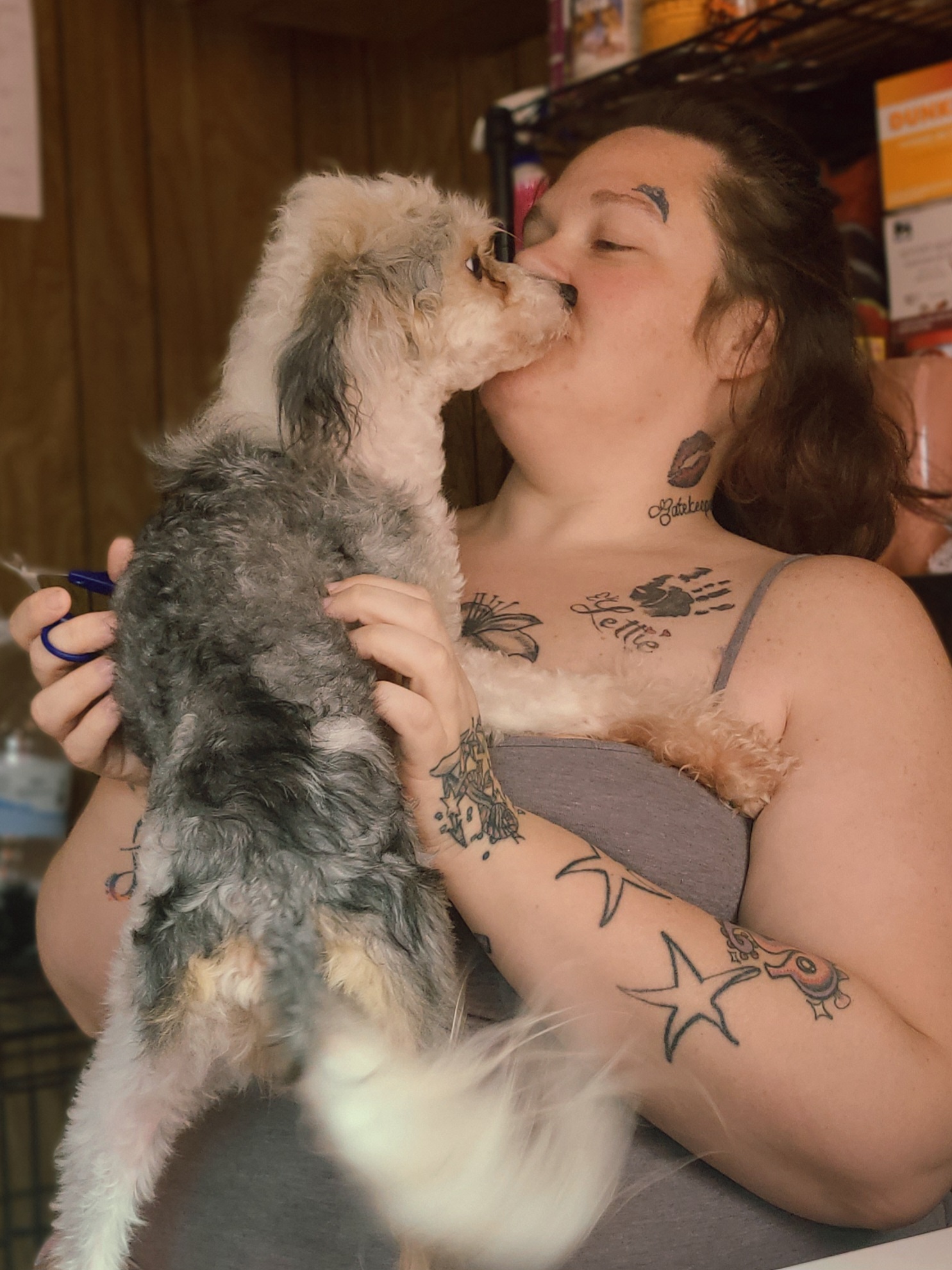 Chinese Crested and Shih Tzu All Grown Up from Wuppie Tree House
