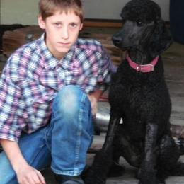 Poodles from Snowy Mt Poodles