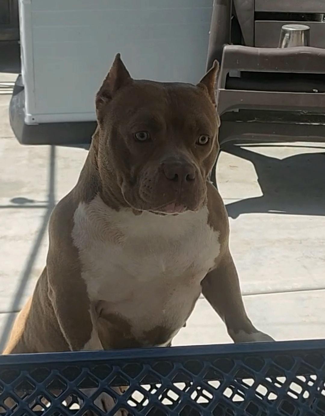 MIA