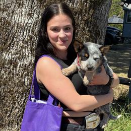 L63-02 - Blue female Australian Cattle Dog puppy in Sheridan, Oregon from 6pk Cattledogs