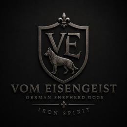 German Shepherd Puppies from Vom Eisengeist German Shepherds
