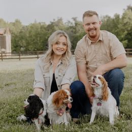 Cavalier King Charles Spaniels from Farmwood Cavaliers