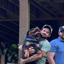 Rottweiler Puppies from Bronx Von Bridges Rottweilers