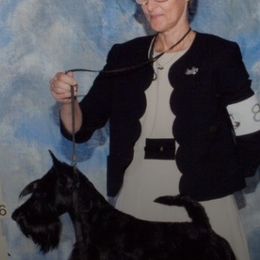 Bernese Mountain Dogs and Scottish Terriers from Defiant