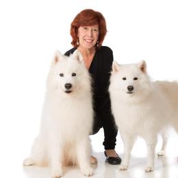 Samoyeds from Kismet