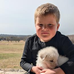 German Shepherd Puppies from Haven Farm