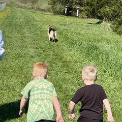 German Shepherds from Peachy Puppies