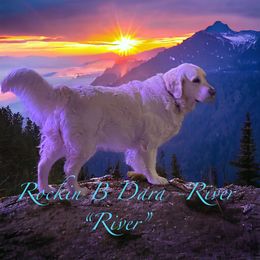 River - Golden Retriever
