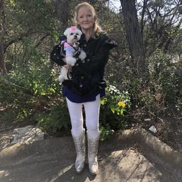 Maltese Puppies from The Royal Furbabies