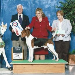 Lil Frank - Treeing Walker Coonhound