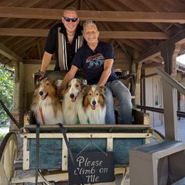 Collie puppies from Brake's Rough Coated Collies