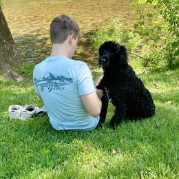 Portuguese Water Dog Puppies from Top Notch Portuguese Water Dogs