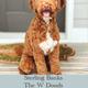 The W Doods Sterling Banks