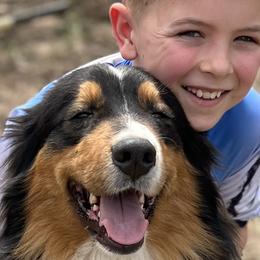 ACE - Australian Shepherd
