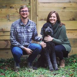 Goldendoodle All Grown Up from Simply Doodles LLC