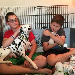Beagle and Dalmatian Puppies from Dreamworks Dalmatians