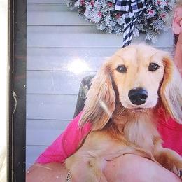 Dachshund All Grown Up from Southern Class with Sass Doxies