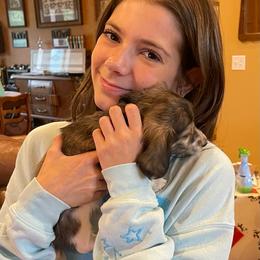 Poppy - Piebald female Dachshund puppy in Sultan, Washington from Honeydew Ranch
