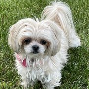 Bella Blu - Mi-Ki