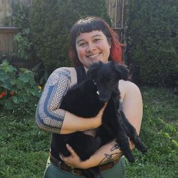 Silken Windhound Puppies from Luminous Silken Windhounds