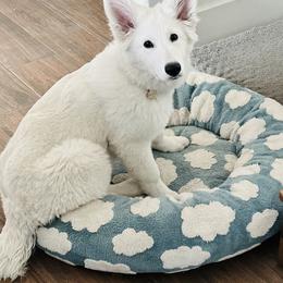Berger Blanc Suisse Puppies from Moonlight Berger Blanc Suisses