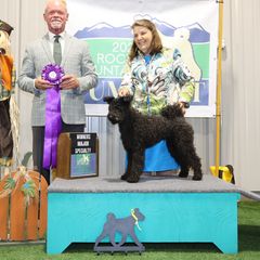 Moxie - Pumi
