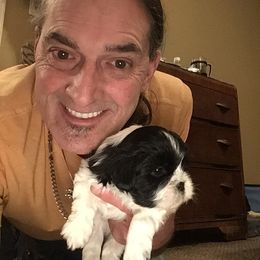 Shih Tzus from Fredericksburg shih tzus