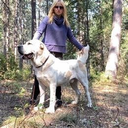 Central Asian Shepherd Dog All Grown Up from Alabaivalley