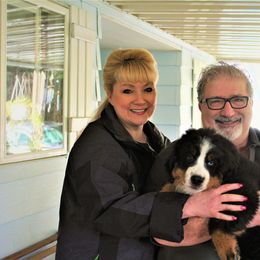 Bernese Mountain Dog Puppies from Baby Bear Bernese Kennel