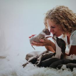 Italian Greyhound Puppies from Alura Italian Greyhounds