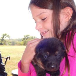 German Shepherd Puppies from Von Hartwin Kennels