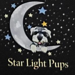 Maltipoo puppies from Star Light Pups