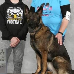 German Shepherds from Holtgrew