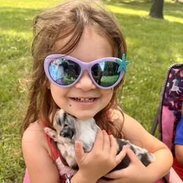 Miniature Australian Shepherd Puppies from Lockhart Mini Aussies