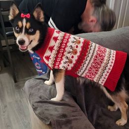 Paris - Pomsky