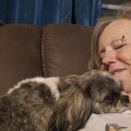 Mal-Shis, Maltese, Maltipoos, and Shih Tzus from Cooley's Cuddle Pups