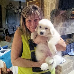 Great Pyrenees Puppies from Wells' Providence Pyrenees