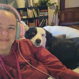 Border Collie Puppies from Cullins Collies