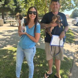 Lady (Burrata) - Cream female Dachshund puppy in Lincoln, California from ForeversEdge Doxies